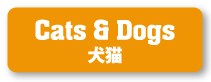 Cats & Dogs 犬猫