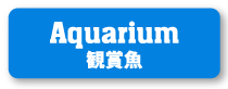 Aquarium 観賞魚