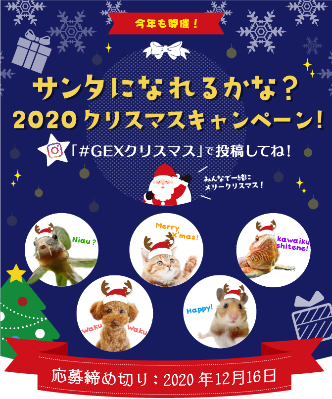サンタになれるかな クリスマスキャンペーン 観賞魚 小動物 犬 猫 爬虫類 ペット用品 ジェックス株式会社