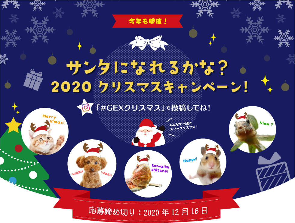 サンタになれるかな クリスマスキャンペーン 観賞魚 小動物 犬 猫 爬虫類 ペット用品 ジェックス株式会社