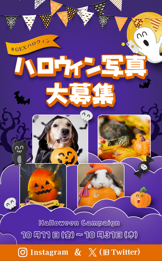 ペットの写真投稿でプレゼントをもらおう！ハロウィンキャンペーン★