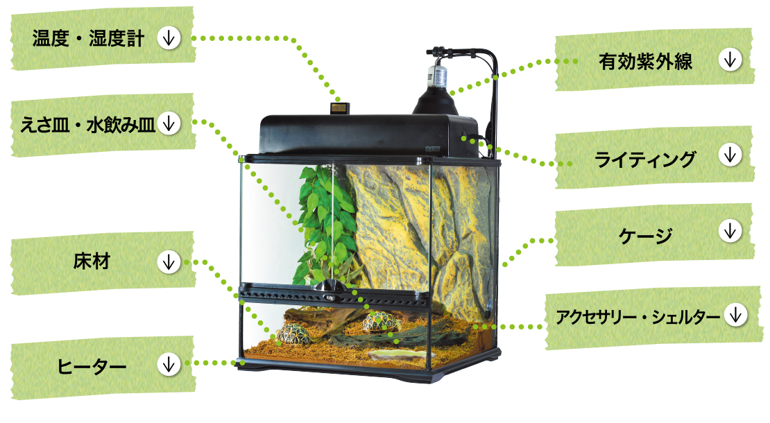 リクガメ　ケース　ゲージ　爬虫類類　ライト取り付け可能
