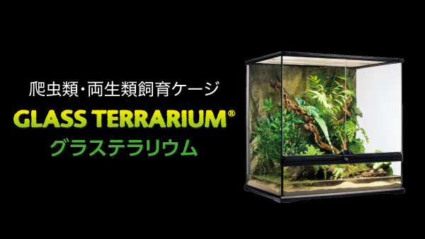 ジェックス グラステラリウム9045 + ペット 用品セット - 神奈川県のその他