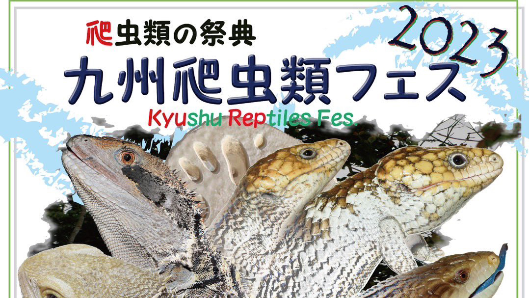 Expeditions(探検記) GEX ExoTerra Time 爬虫類情報 | 爬虫類用品 