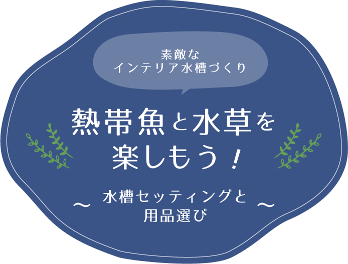 熱帯魚 飼育情報 熱帯魚 観賞魚 アクアリウム用品 ジェックス株式会社