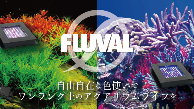 FLUVAL丨アクアリウム用LEDライト丨ジェックス